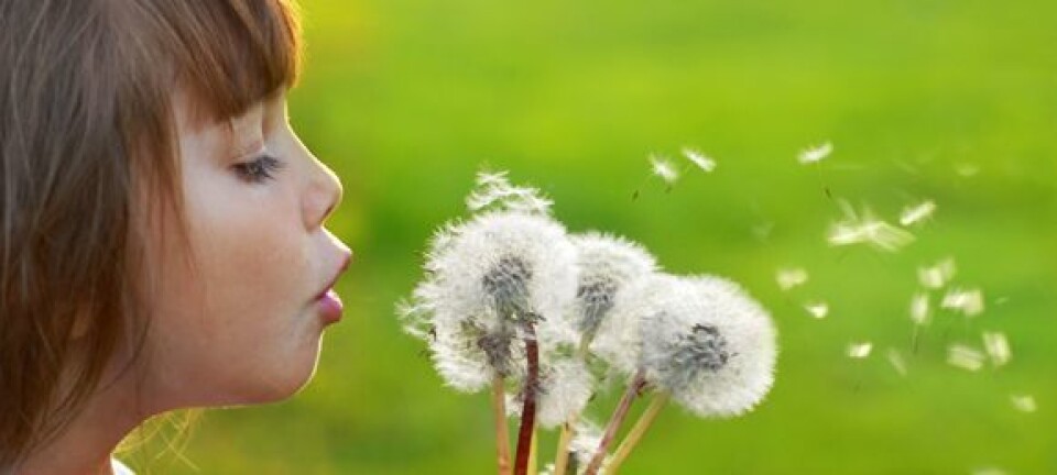 Foto: Fotolia/Monia