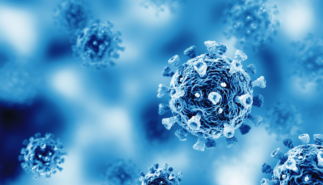 FOTO: ISTOCK FOTO: ISTOCK