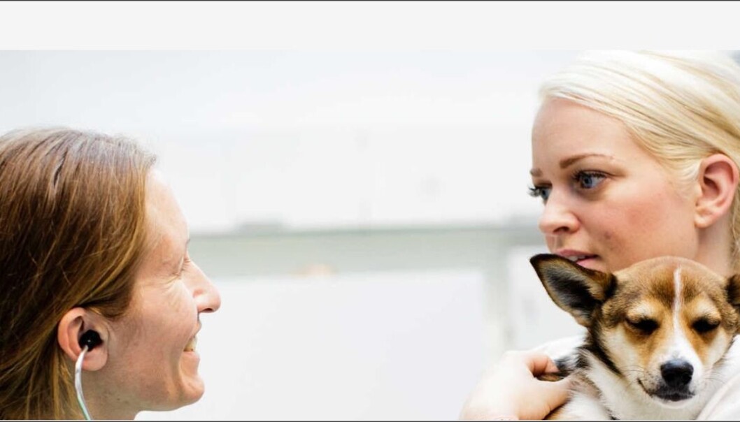 Vil du jobbe med MR-diagnostikk innen veterinærmedisin ved NMBU? Vil du jobbe med MR-diagnostikk innen veterinærmedisin ved NMBU?