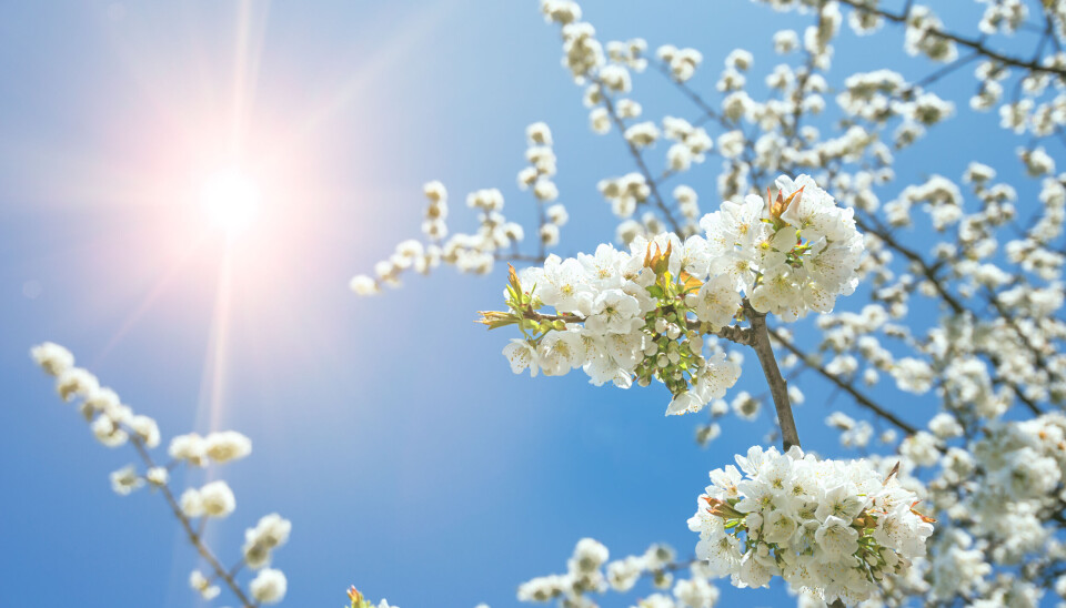 Foto: Assalve/Istock